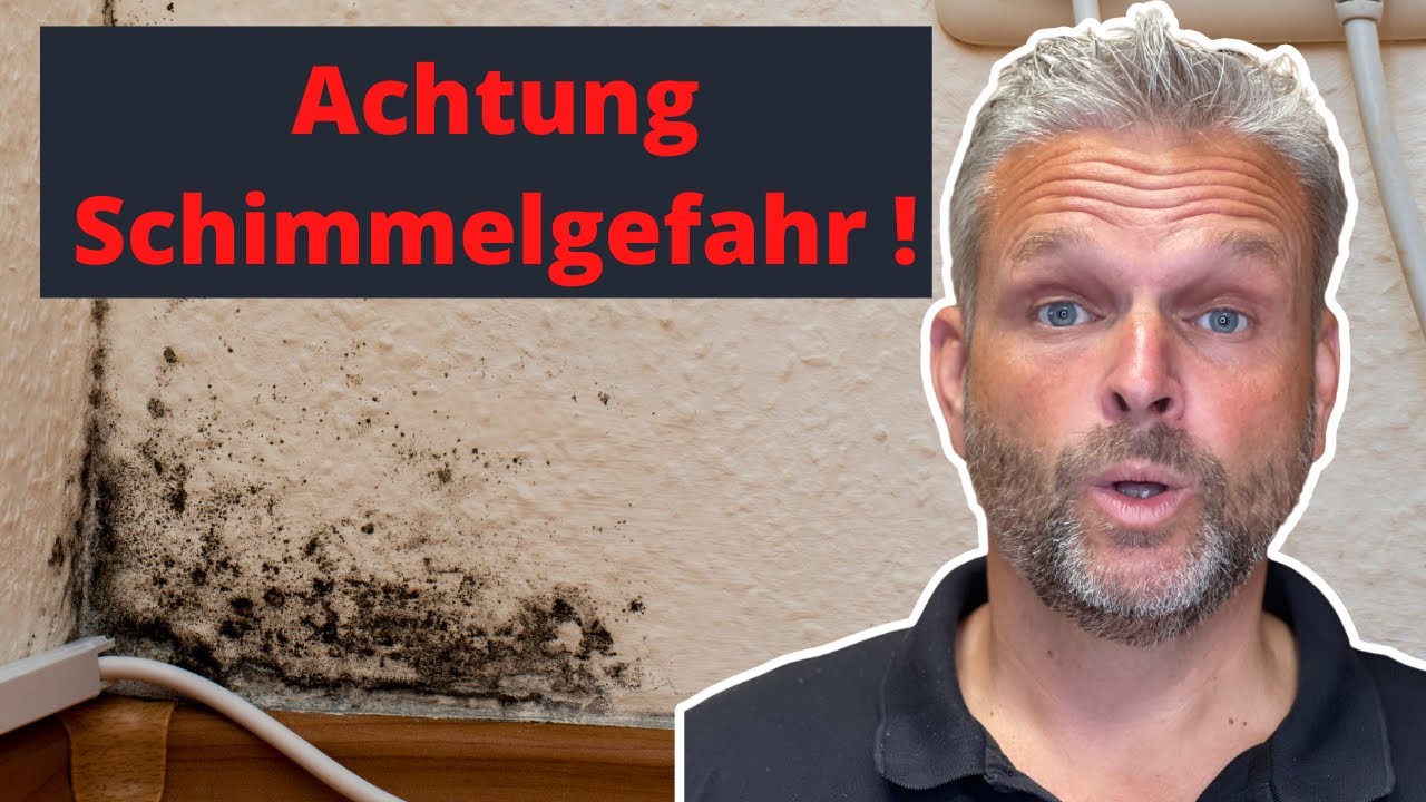 5 Tipps: So senken sie die Luftfeuchtigkeit in ihrer Wohnung