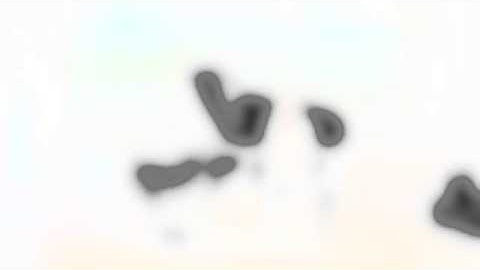 Video example 19: Bank, commented