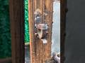 other ideas auto lock #skills #welding