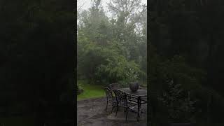 Cozy Rain Atmosphere. Do you like this sound? 🌧️✨ #rain  #sleep  #asmr