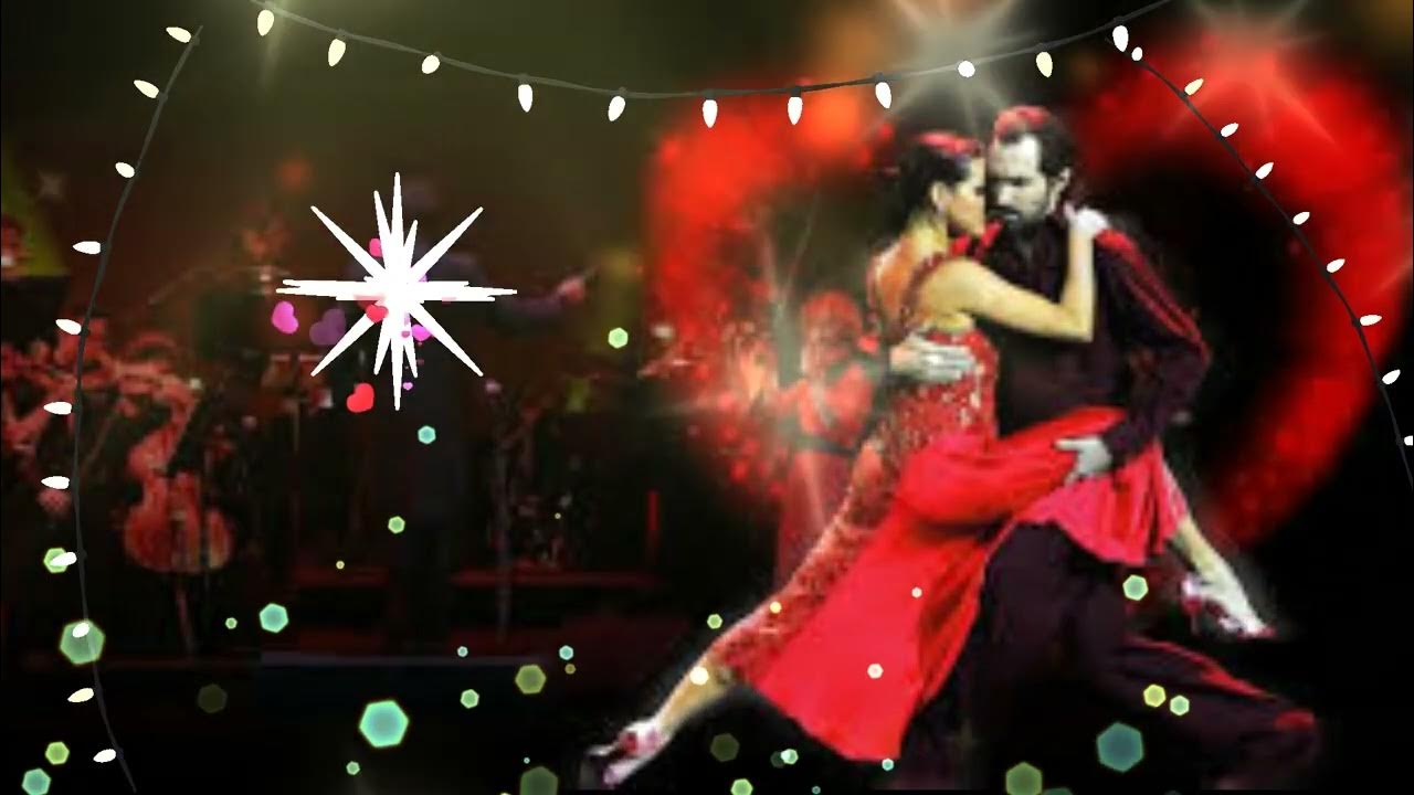 Avelina Tango Live