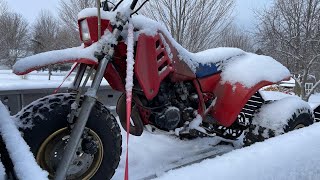 Barn find 1985 Honda atc 250r sitting for 15 years and 3 fingers later part 1