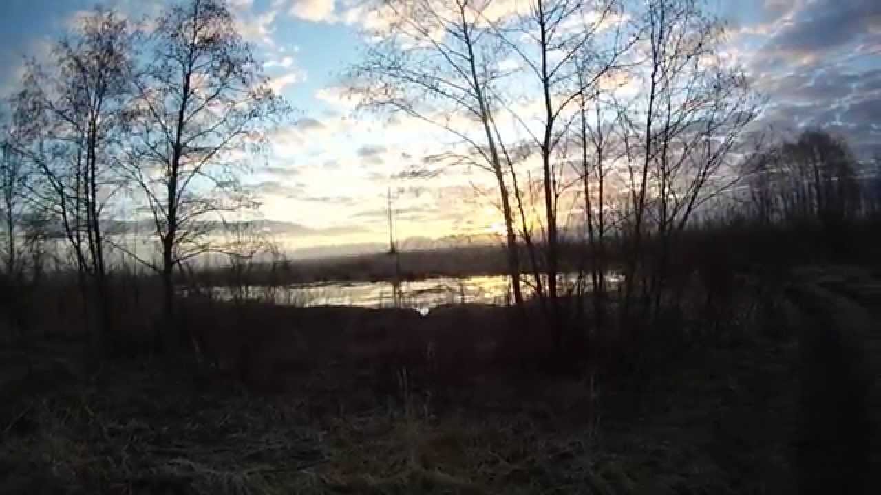 Раннее апрельское утро на заброшенной сельской дороге. - YouTube