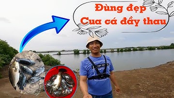 Câu Lure cá chẽm đùng Bà Rịa - Ngày nước lớn