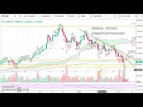 kereskedelmi algoritmus bitcoin