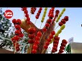 製作冰糖葫蘆│Chinese Sugarcoated haws on a stick│Taiwan fruit street food