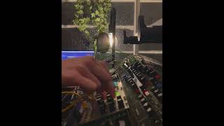 Frosted | Morphagene, Clouds, Eurorack