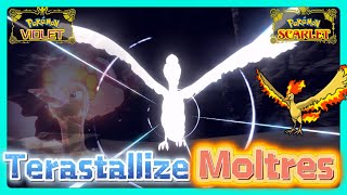 Terastallize Moltres VS Shiny Moltres | Pokemon Scarlet and Violet | Legendary Pokemon