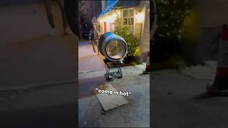 Christmas Tree Experiment Gone Wrong (@louis_lazz)