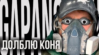 #37 ПОЧТИ 2 ЛЯМА ЗА ЭТОГО КОНЯ