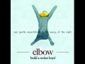 Elbow- the night will always win (lyrics)