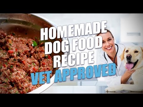 homemade-dog-food-recipe-vet-approved-(limited-ingredient)