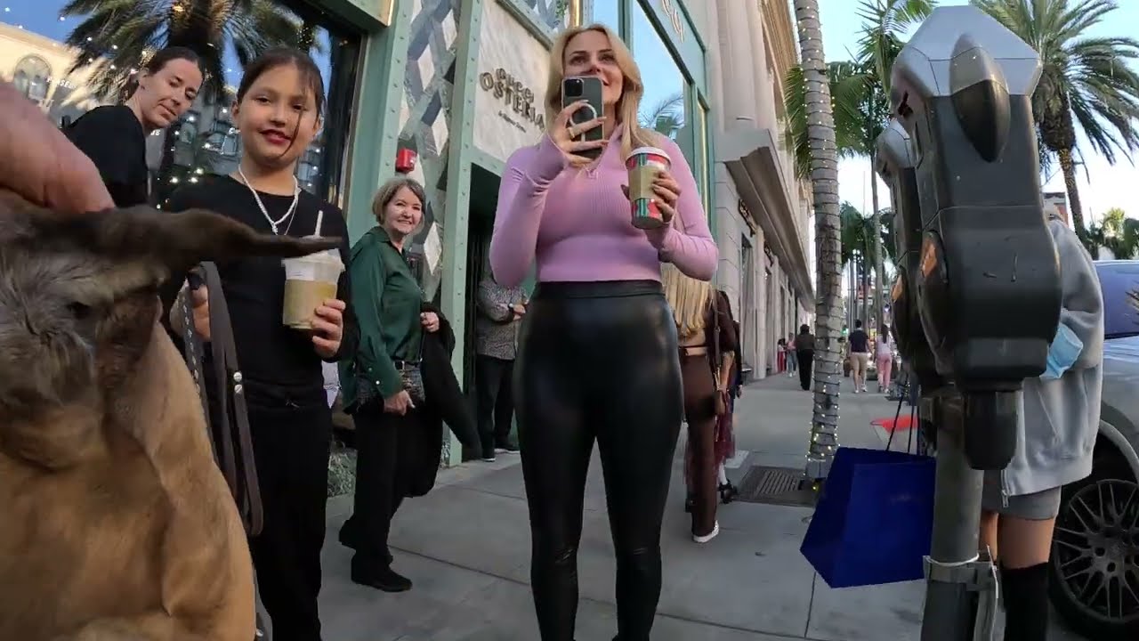 Cash 2.0 Great Dane Thanksgiving Special 2022 on Rodeo Drive in Beverly Hills (1 of 3)