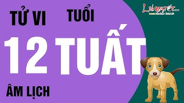 Tử Vi Tuổi Tuất Tháng 12 Âm Lịch Năm 2020 Tốt Hay Xấu Xem Ngay Để Biết - Tử vi 12 con giáp