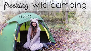 Freezing Winter Wild Camping  0°C in the Woods!