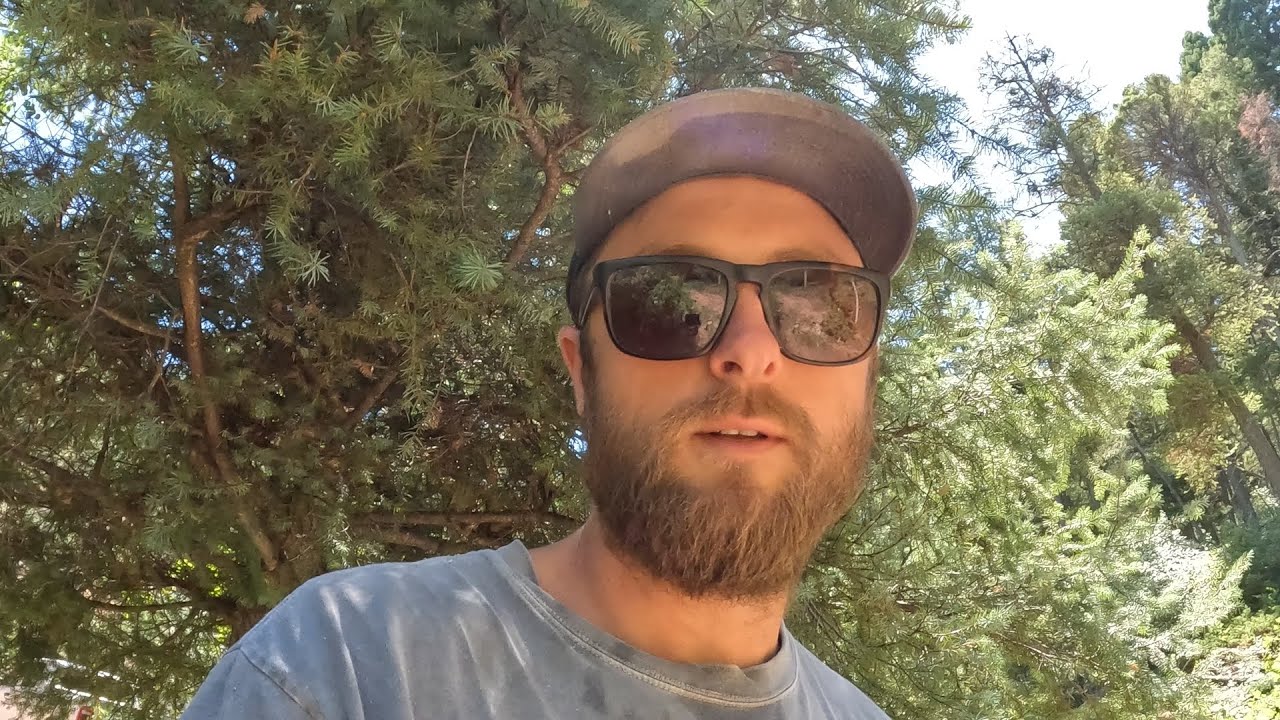 Colorado Mountain Property, Clearing day 3