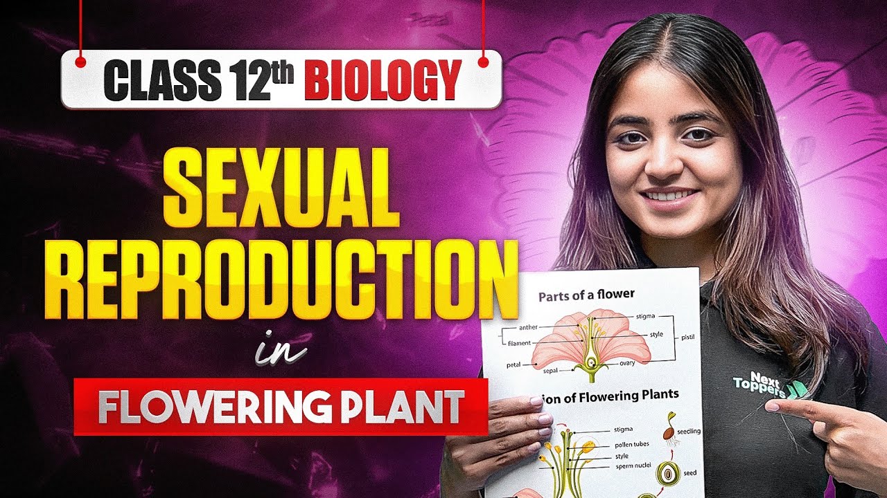 Sexual Reproduction in Flowering Plants in 2 Mins | Class 12 Biology | Prarambh 2025