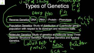 Genetics 1.1