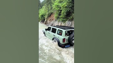 GWM Tank 300 runs with the water flow #car  #offroad #4x4   #trending