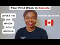 What to do in your first week in canada  settling in canada