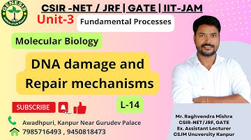 DNA damage and Repair mechanisms | Double Strand Break Repair | NHEJ | HLR | L-14