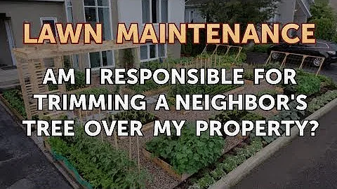 Am I Responsible for Trimming a Neighbor's Tree Over My Property?