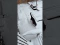 # Let it snow!