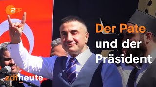 Türkei Wie Mafiaboss Sedat Peker Erdogans Regierung Attackiert Auslandsjournal