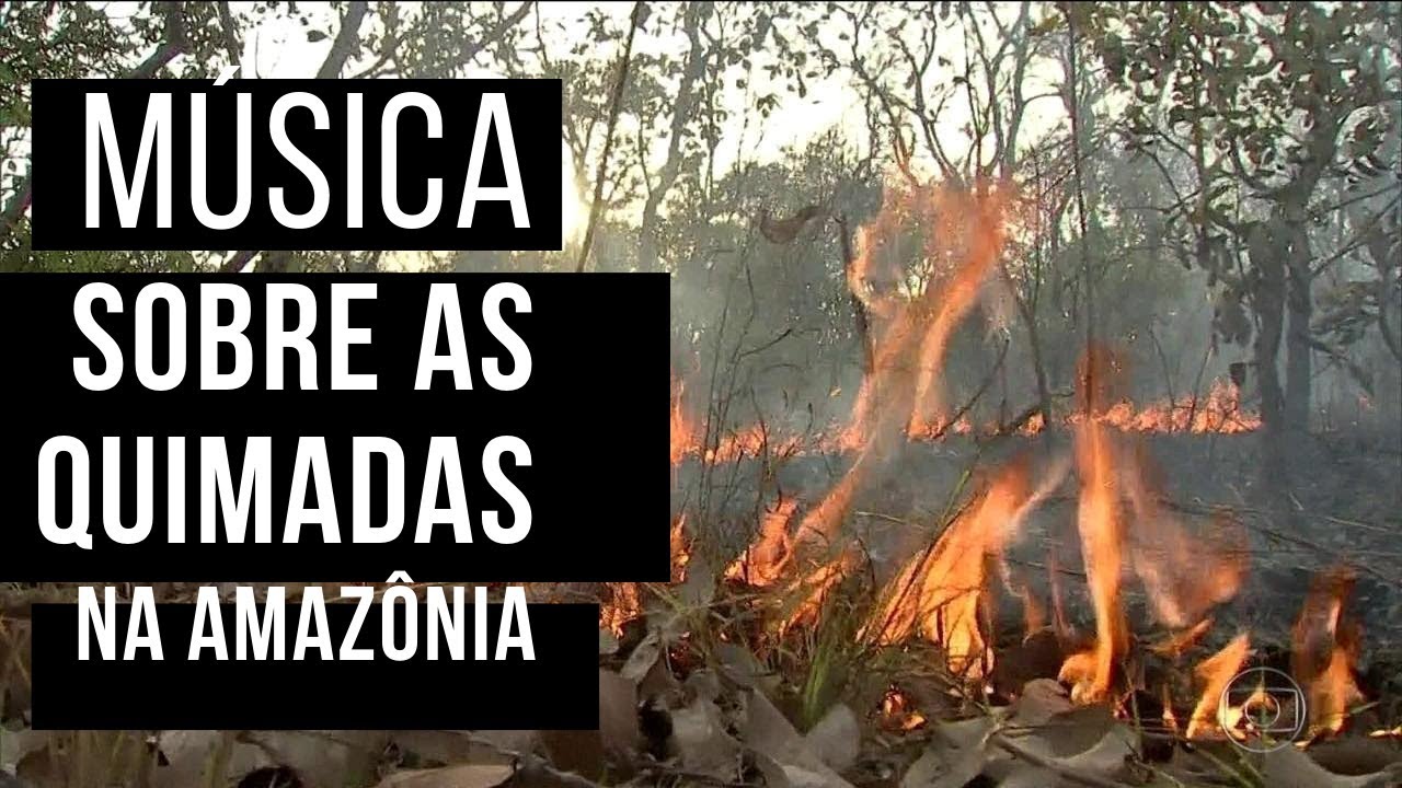 O Texto Queimadas Na Amazônia Mitos E Verdades