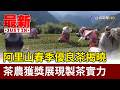 阿里山春季優良茶揭曉 茶農獲獎展現製茶實力【最新快訊】