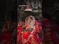 har mahadev🙏🙏🥰🥰🙏🙏