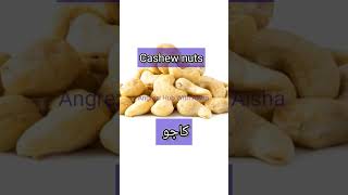 Cashew meaning in Urdu | kajo ko English mein kia khete hai #cashew #kajo