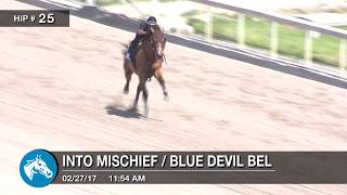 Before They Were Stars: AUDIBLE at the 2017 Fasig-Tipton Gulfstream Sale