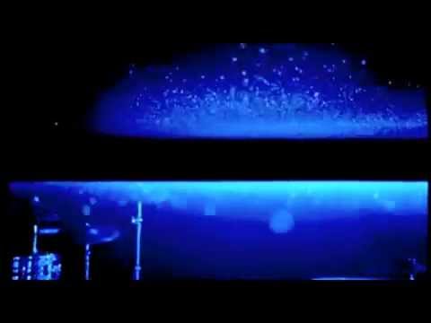 Ogni Volta Video