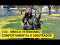 #32 Diferenças entre o Médico Veterinário Comportamental x Adestrador