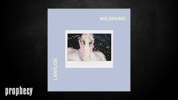 Lantlos - Dog in the Wild