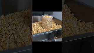 Popcorn Seasoning Mixer | Multi Flavour Popcorn | Popcorn Business