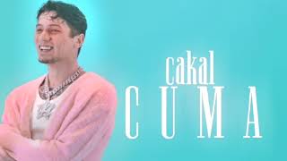 Cakal-cuma Lycris