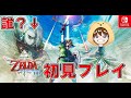 【ゼルダの伝説スカイウォードソードHD】伝説の始まりの物語を求めて:Part15【ちあき】