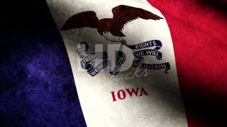 Iowa State Flag