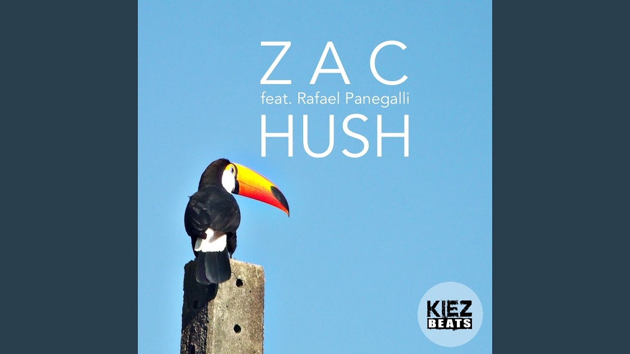 在 YouTube 上观看 Hush (feat. Rafael Panegalli) (Radio Edit)