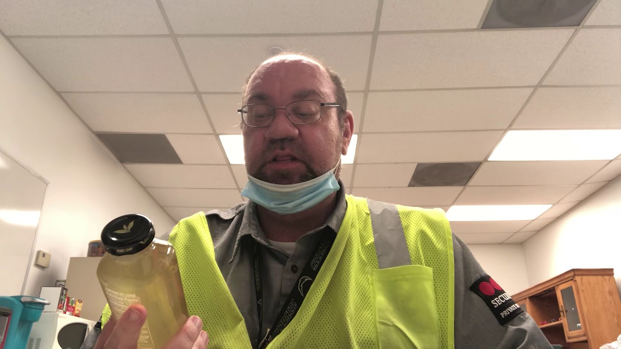 Pure leaf organic green tea with a hint of Fuji apple ginger YouTube