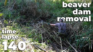 Manual Beaver Dam Removal No.140 - Time-Lapse Version