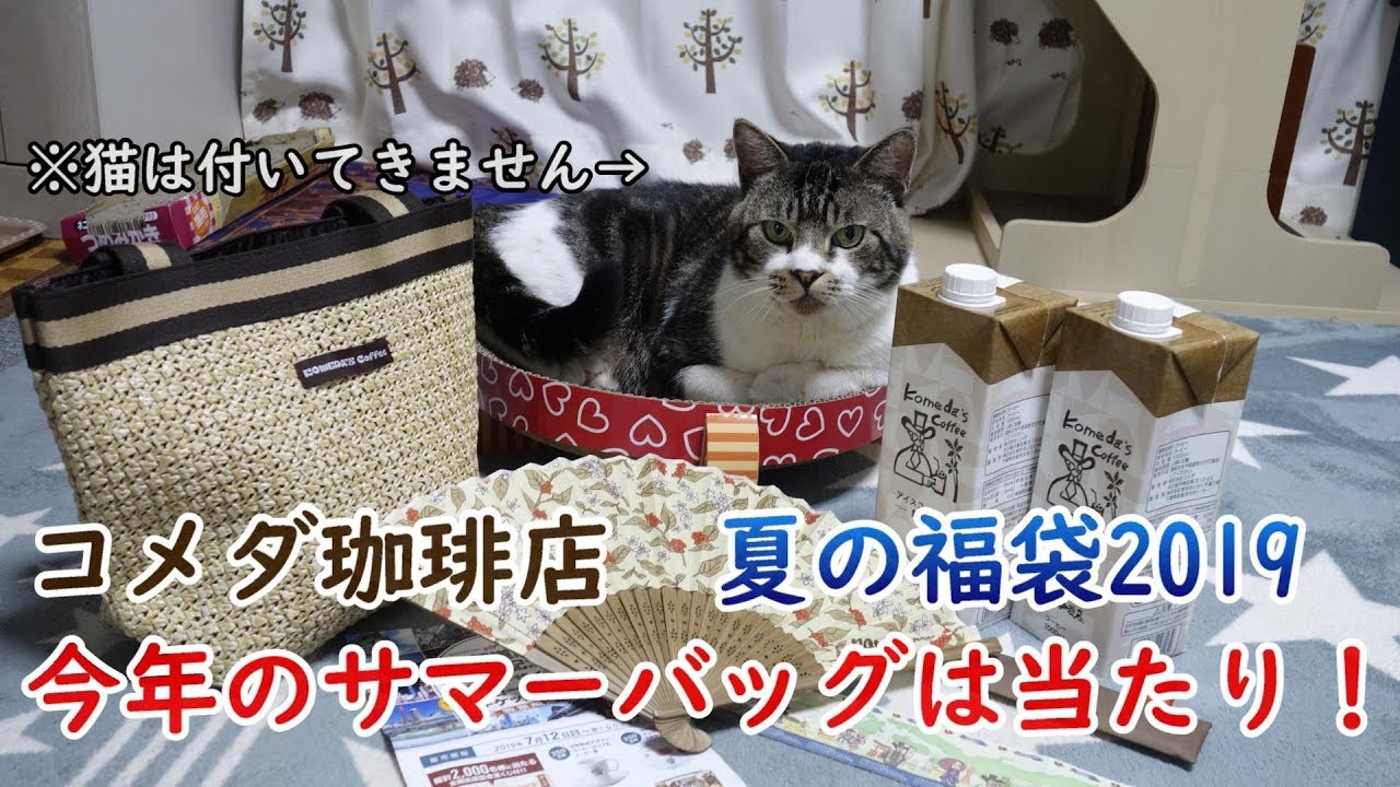 猫と一緒に コメダ珈琲店 夏の福袋2019をgetしたので見てみよう オリジナルグッズが可愛すぎ リキちゃんのクンクンチェック 夏のお楽しみ袋 サマーバッグ Youtube