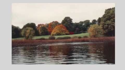 Image k-space - William Edward Hahn