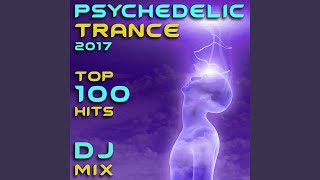 Chaotic Circus (Psychedelic Goa Trance 2017 DJ Remix Edit)