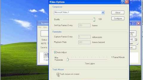 Screen Grab Pro Deluxe - Capturing Video with Audio - 2 ways
