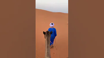 Alone In The Sahara Desert Morocco 