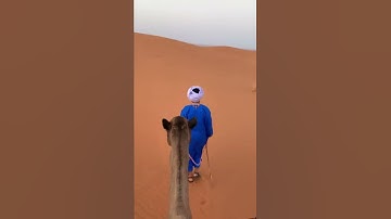 Thumbnail of Alone in the Sahara Desert, Morocco.