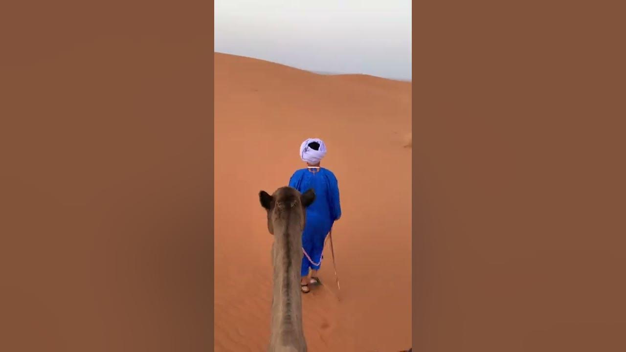 Alone in the Sahara Desert, Morocco. Alone in the Sahara Desert, Morocco.